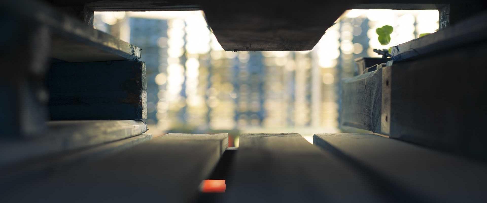 Doctorado en Historia y Teoría de las Artes