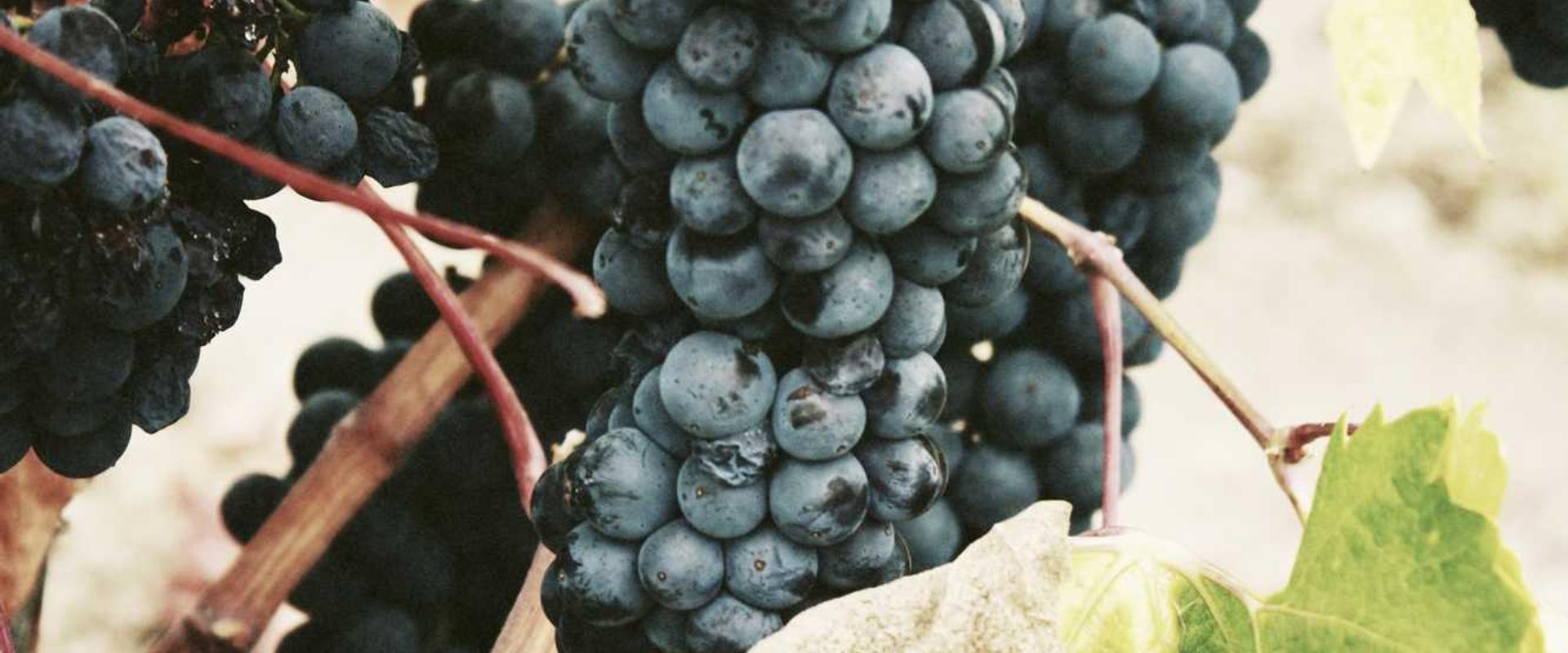 Posgrado-Curso 13.1.2-2024 (Doctorado en Geografía)